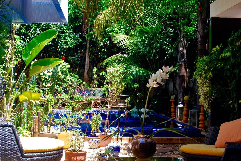 Dar Diafa Bed & Breakfast Kazablanka Dış mekan fotoğraf
