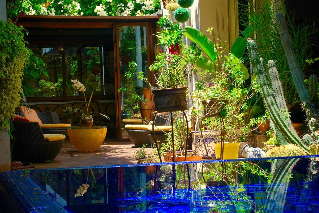 Dar Diafa Bed & Breakfast Kazablanka Dış mekan fotoğraf